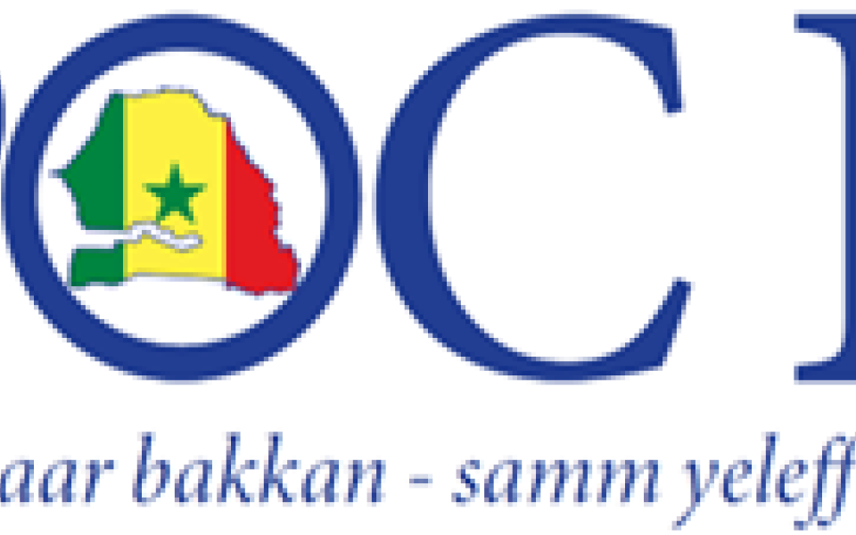 marché S29 Mission de supervision et de formation au respect des droits humains